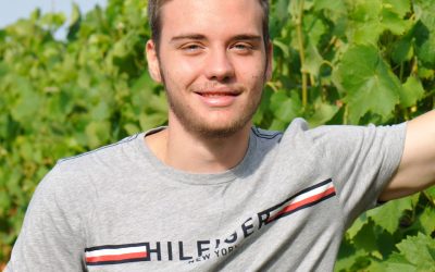 Weinlese 2018