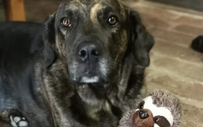 Maya Dotzauer 3 Jahre
