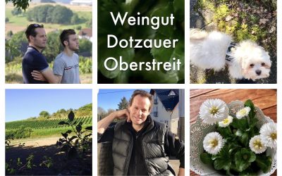 Es wird endlich wieder grün 🌿