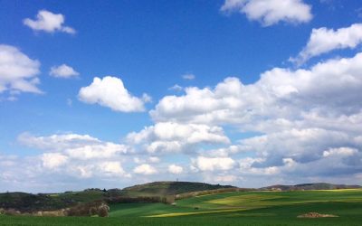 Wir haben endlich Frühling