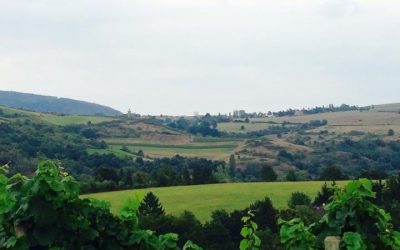Unsere Landschaft im Herbst