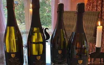 Sekt für Silvester ✨🌟✨