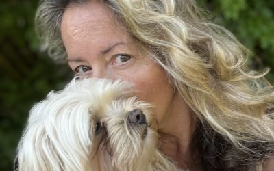 Sommer 2022