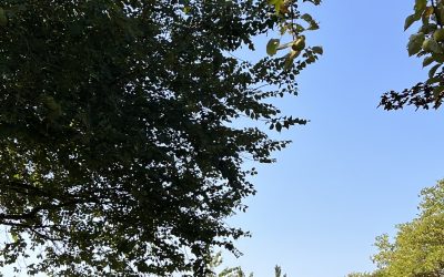 Achims Fest fällt leider aus