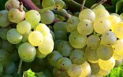 Der Herbst steht vor der Tür
