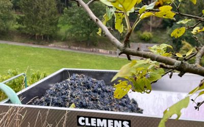 Oktober 🍇
