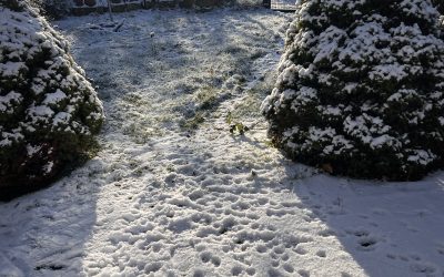 Guten Rutsch
