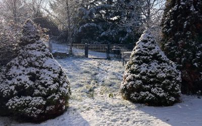 Schnee