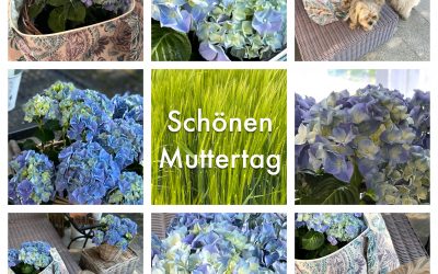 Schönen Muttertag ❤️