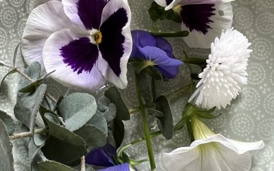 Mai 🌷🌺🌸🌺🌷