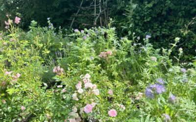 Gartenzeit