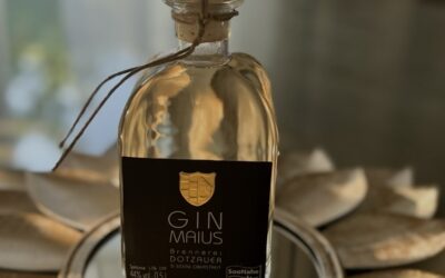 Gin Gin Gin